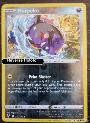 Morpeko swsh12 116 195 lp - [swsh12, 116/195]lp