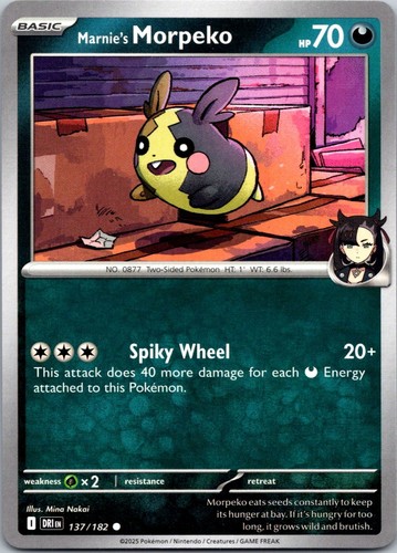 Morpeko 137 182 - -, destined