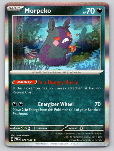 2023 pokemon morpeko paradox - 2023,