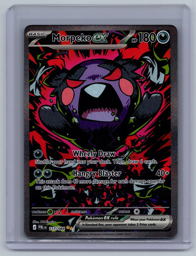 2026 pitch black morpeko - black,